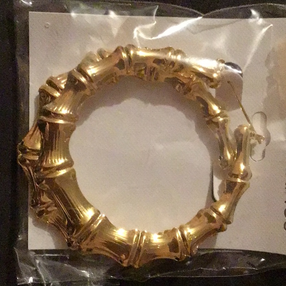 Fashion earrings